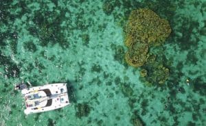 Aerial view of a snorkel site from Shore Thing