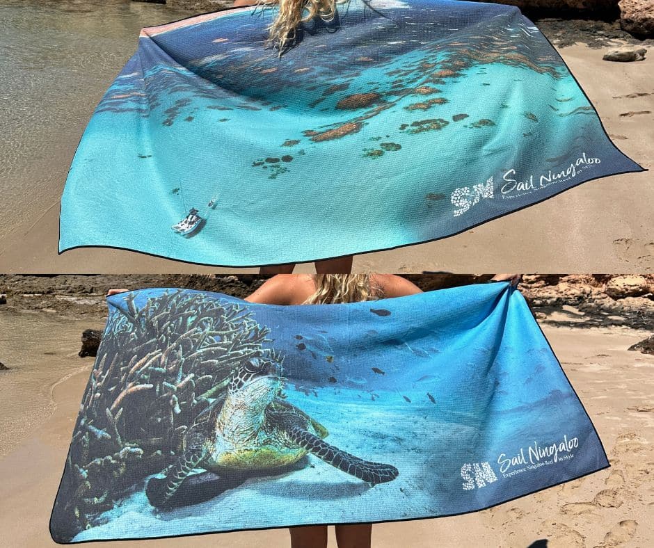 Turtle Towel