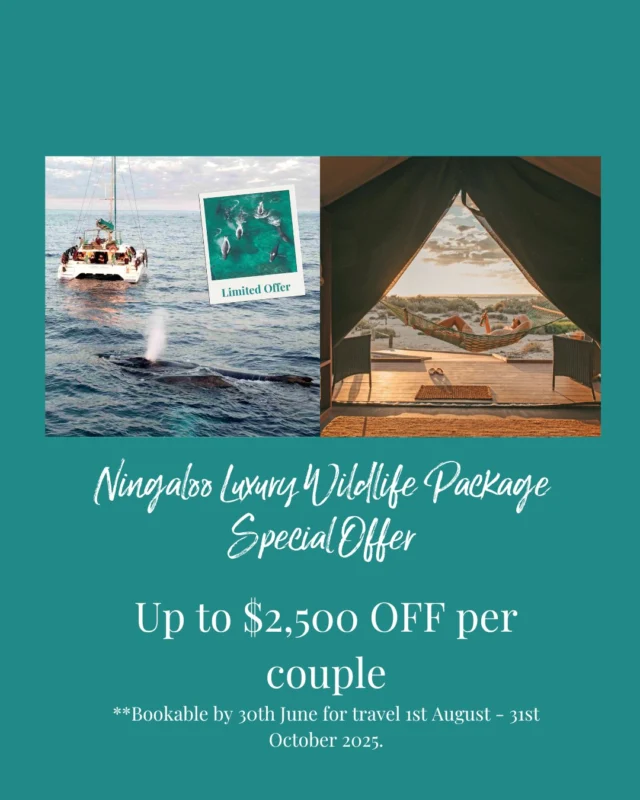 ๐ฃ Only 2 weeks left to book! Message Cristie NOW! ๐ฃ
SAVE up to $2,500 per couple in 2025!
Includes a 3-night Sail Ningaloo Getaway, coastal scenic flight, accommodation at Mantarays Resort, glamping at Sal Salis + Megafauna Day Tour!
*T&Cs apply - limited cabins available.
**Upgrade to 5-night Sail Ningaloo Escape tour also available.