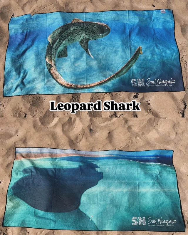 Sail sustainably with our eco friendly towels! ๐คฉ Made from recycled materials plastics, these microfibre towels are quick dry, built to last, and have some of our fav ningaloo animals (front) and aerial shots (back) over the years. Try them as a guest then buy on onboard to have for life ๐ซถ๐ 4 styles: Leopard Shark, Manta Ray, Turtle, and Humpback ๐ฆ๐๐ณ Comment Below which one you like the best โจ #sustainable #ecotourism #animals #towels #microfibre #quickdry #sailing #merchandise #gift #souvenir #liveaboard #ocean #animals #liveaboard