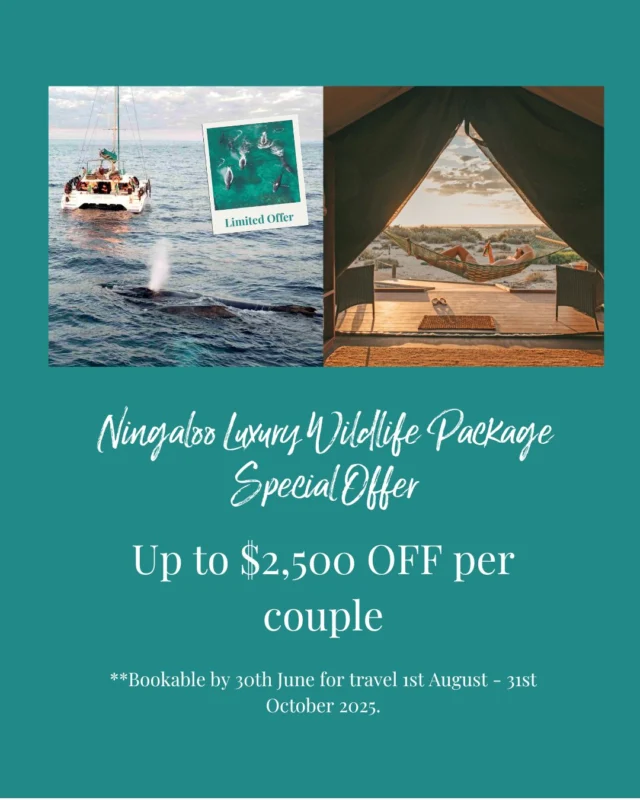 ๐ฃ Only 1 week to go! Message Cristie NOW! ๐ฃ
SALE AWAY on our 7-Night Ningaloo Luxury Wildlife Package during the 2025 Humpback Whale season and SAVE up to $2,500 per couple! ๐๐
Includes a 3-night Sail Ningaloo Getaway, coastal scenic flight, accommodation at Mantarays Resort, glamping at Sal Salis + Megafauna Day Tour!
*T&Cs apply - Contact our Reservations Team on 1800 197 194 or res@sailningaloo.com.au NOW, limited cabins available.
**Upgrade to 5-night Sail Ningaloo Escape tour also available.