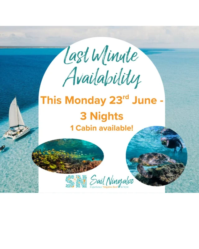 LAST MINUTE AVAILABILITY FOR THIS MONDAY*** ๐ฑ DON'T MISS THIS OPPORTUNITY!!!
1 Cabin available for our 3 night tour departing this Monday, the 23rd of June. Call our reservations manager Cristie (+61) 0458 822 895 for your snorkeling & diving dream โต๐
#liveaboardlife #westernaustralia #tourism #australia #sailing #ningaloo #exmouth #coralbay #travel #liveaboard #sailningaloo